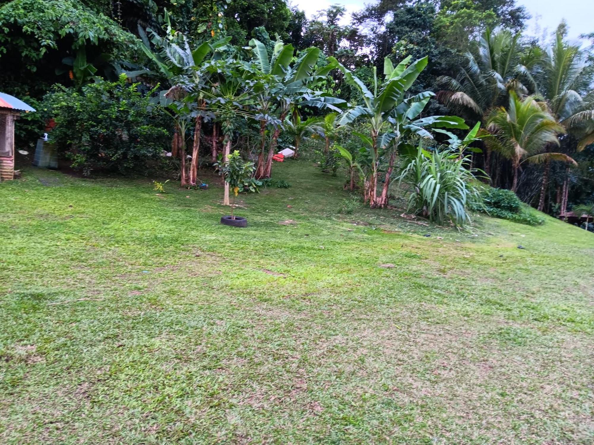 Villa Beauci-Turlet Goyave Bagian luar foto
